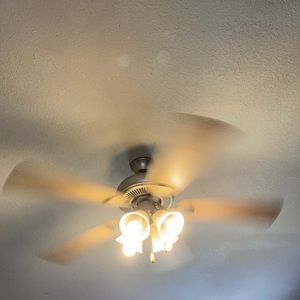 Meet your Posher, Carmen